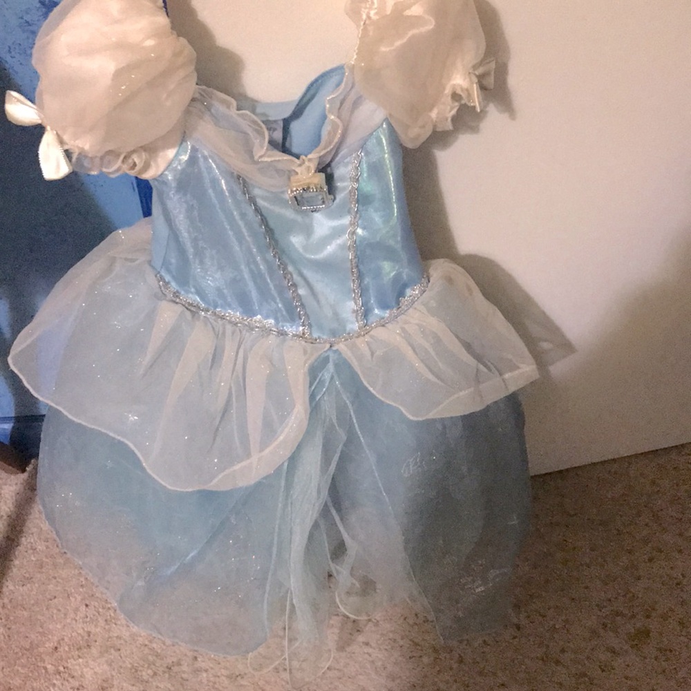 Disney Cinderella Gown